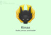 Kinza Latest Version