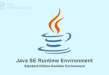 Java SE Runtime Environment Latest Version